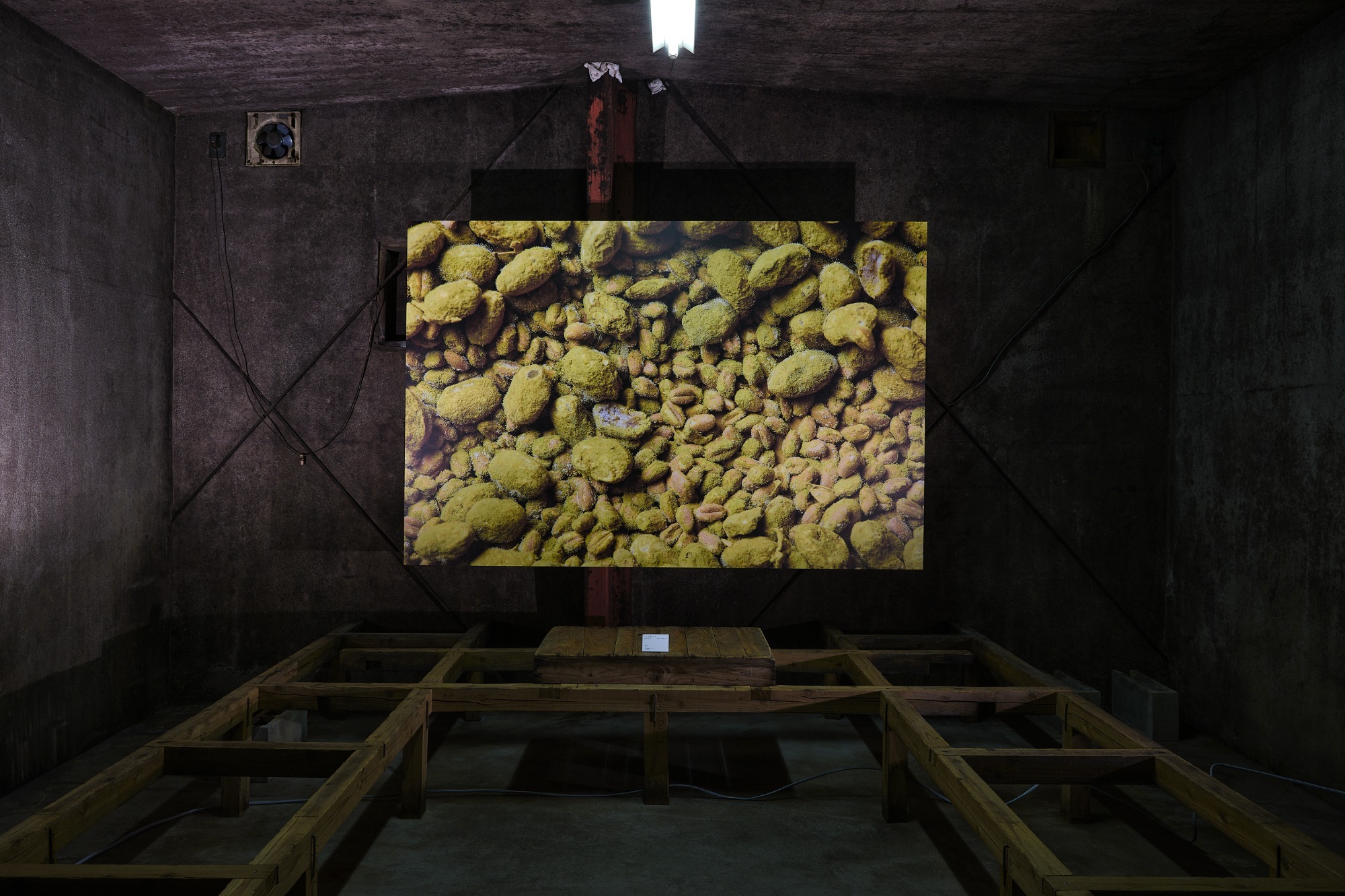 体験を交えた工房や醸造所、麹室見学 