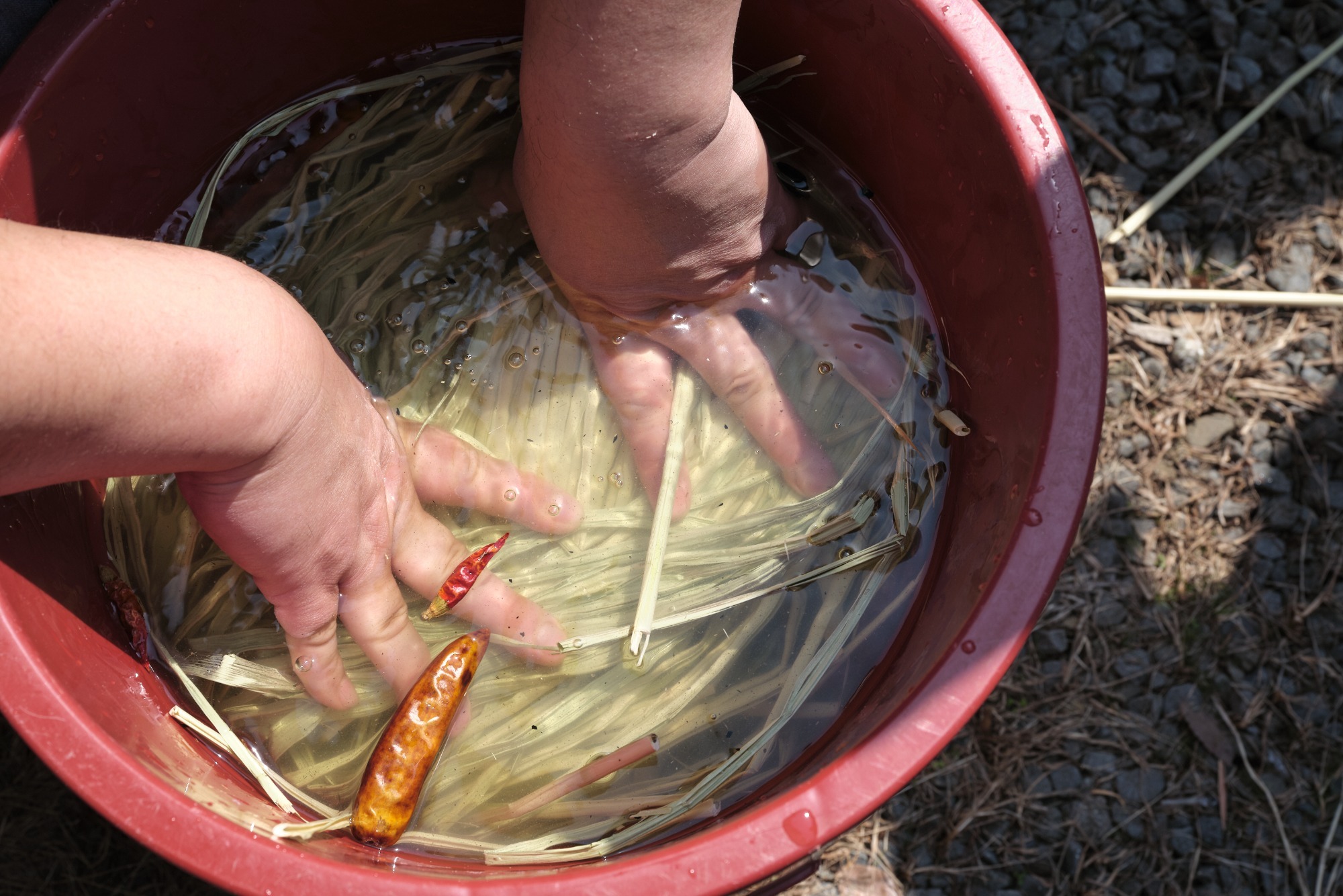 発酵に関わる食体験講座
